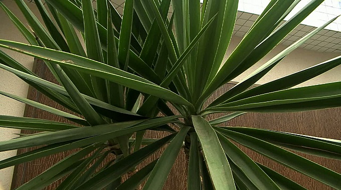 /2010/marcelaeduardo/