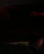 2015/june/kimberlywolf